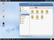 Xfce Xubuntu 10.10 no AA1